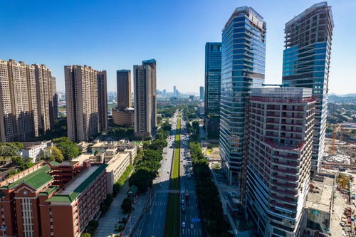 上海國際信托 信托業(yè)務 三分類 賦能構建房地產(chǎn)發(fā)展新模式