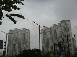 光明城市 上海光明城市配套實景圖,樣板間,效果圖,戶型圖 上海網(wǎng)易房產(chǎn)