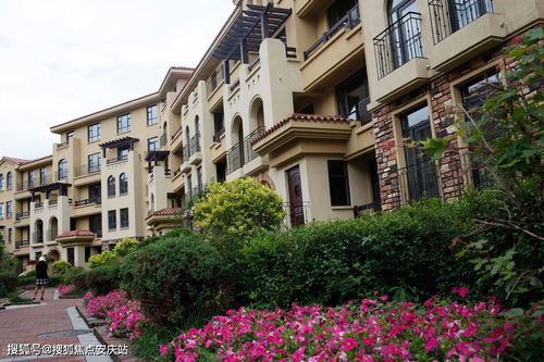 最新動(dòng)態(tài) 樓盤(pán)信息 房?jī)r(jià) 戶型 周邊配套,交通地圖及動(dòng)態(tài)